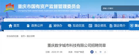 2024重庆数字城市科技有限公司招聘简章（2月7日24时前报名）