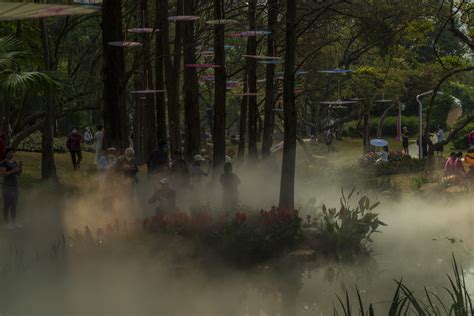 【河北广平：呈现雾里看花景观摄影图片】风光摄影_太平洋电脑网摄影部落