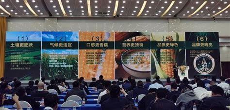 绥化“中国鲜食玉米之乡”称号授牌 “绥化鲜食玉米”区域品牌战略规划设计形象发布-新华网