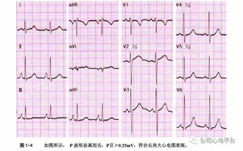 研究现状与意义是什么意思