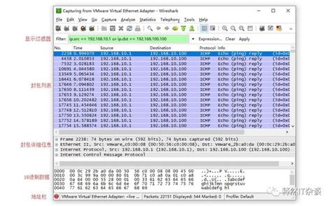 ZeNmap端口扫描工具详解10种扫描方式附使用脚本扫描教程_zenmap csdn-CSDN博客