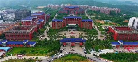 广东：广州华立学院2021高考录取通知书查询入口