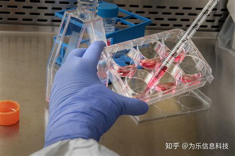 实验室塑料耗材-北京佰司特贸易有限责任公司