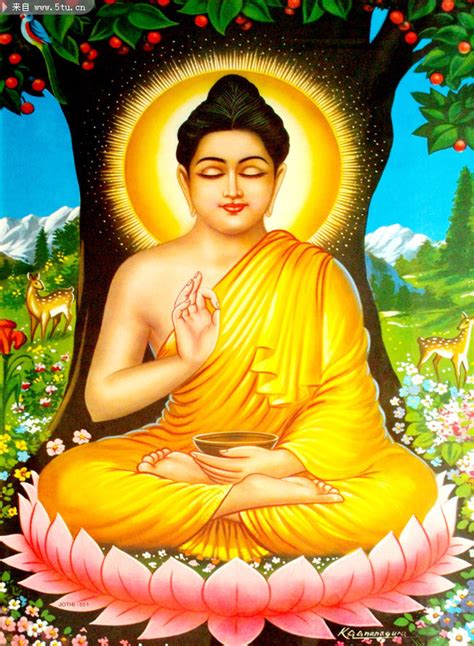 藏传佛像释迦牟尼与阿弥陀佛的区别是啥？
