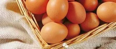 【明德牧业】3月2日鸡蛋价格早报_石家庄_唐山_秦皇岛