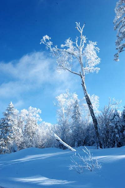 冬天的风景图,乡村的冬天农村图片,冬天的风景画_大山谷图库