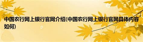 中国农行网上银行官网介绍(中国农行网上银行官网具体内容如何)_公会界