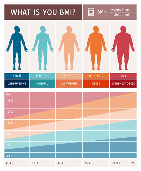 【图】肥胖指数BMI 学习了解懂得如何计算BMI_伊秀美体网|yxlady.com