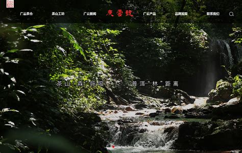 龙潭茶山网站设计（2012）_灬夏至灬-站酷ZCOOL