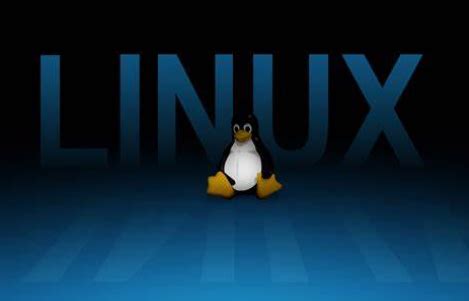 国产系统Linux Deepin 2014详细评测 - 系统之家