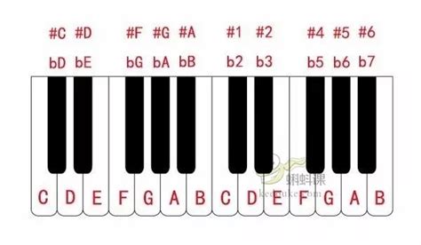 钢琴大谱表对照表图