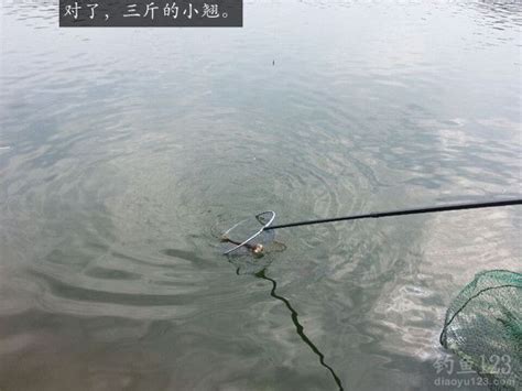 探访泄洪后的郑州常庄水库：水位下降露出浅滩-大河新闻