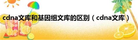 基因组文库和cdna文库的区别内含子_城市经济网