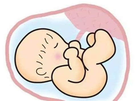 孕期腹痛，是“胎不稳”还是正常现象？会引发流产或早产吗？ - 知乎