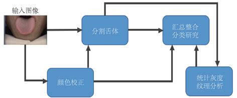 舌象分析图片