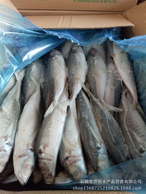 三都港 冷冻东海宽带鱼段600g 海鲜水产 深海鱼 刀鱼 生鲜鱼类 烧烤食材-商品详情-菜管家