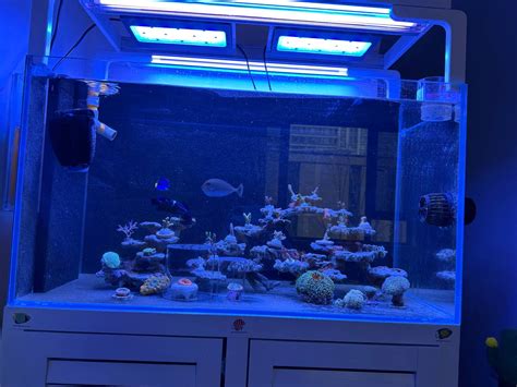 海藻生态缸_海水缸_产品展示_深圳市自然好科技有限公司