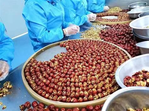 陇南加工核桃食品实现首次出口—甘肃经济日报—甘肃经济网