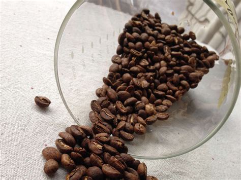 5款埃塞俄比亚咖啡豆横评，最新咖啡豆单到底谁最好喝！_咖啡豆_什么值得买
