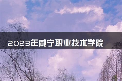 2023年咸宁职业技术学院招生计划专业及各省录取分数线位次-高三网