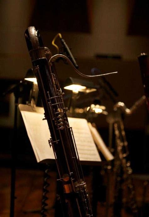 在交响乐中，低音单簧管、英国管、低音巴松这三件非常规木管通常如何使用？ - 知乎