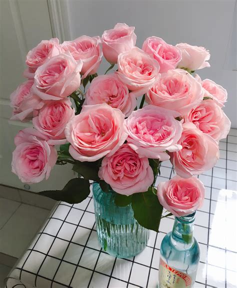 又美又香的切花玫瑰—“粉荔枝”，月季花品种！