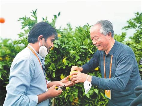 赣南脐橙、富硒产品文化周启动仪式在北京举行-新华网