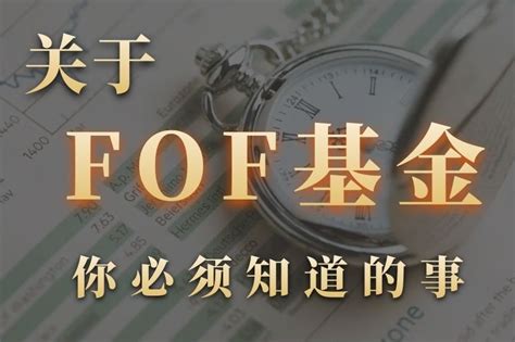 FOF基金成为何私募投资者新宠__财经头条