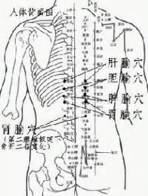 八髎穴位图图片