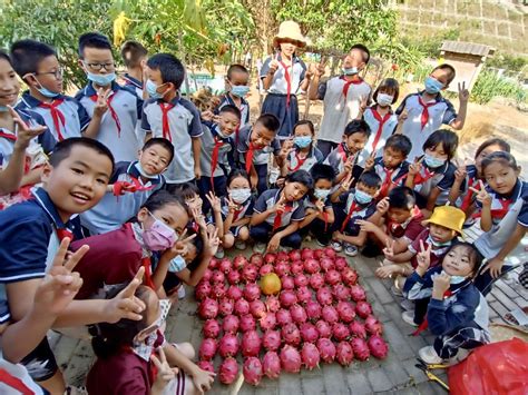 广东珠海金湾区2022年上半年中小学、幼儿园教师资格认定公告