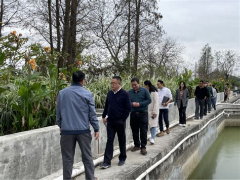 打造养殖尾水净化技术示范，建设水清鱼欢优美生态——江门市水产养殖尾水净化技术试验示范项目顺利通过验收_五邑农情_江门市农业农村局