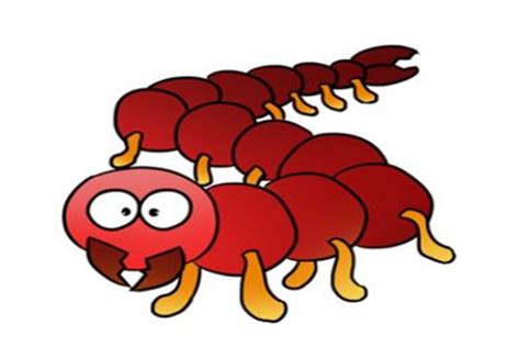 蜈蚣能抗癌 中医偏方教你如何以毒攻毒_健康频道_凤凰网
