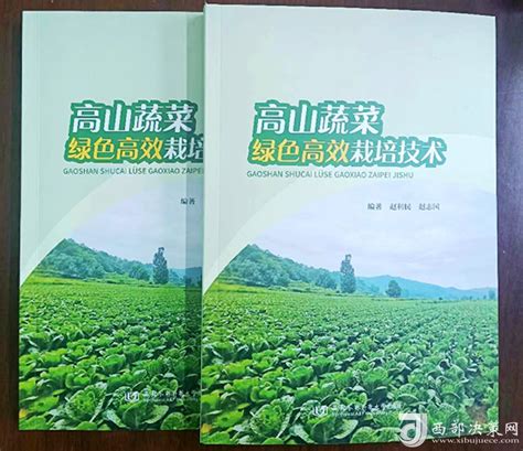 播种超160万亩、产量过400万吨……湖北高山蔬菜规模居全国首位_长江云 - 湖北网络广播电视台官方网站