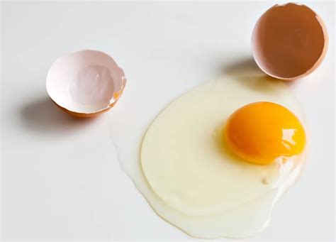 鸡蛋、鸭蛋、鹅蛋、鹌鹑蛋……除了大小，还有啥区别？__凤凰网