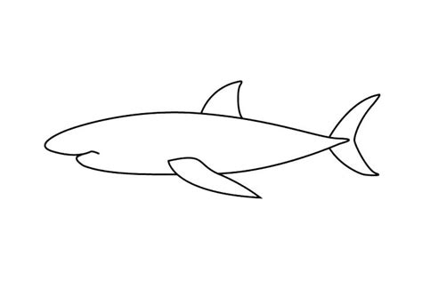 大白鲨,水平画幅,国际比赛摄影素材,汇图网www.huitu.com