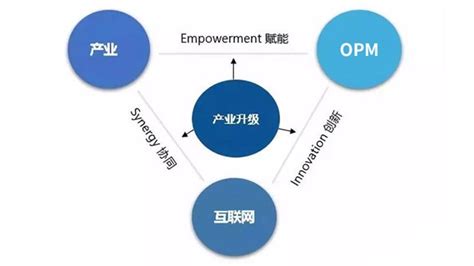 银星智能“OPM商业模式”助力制造型企业转型升级-消费日报网