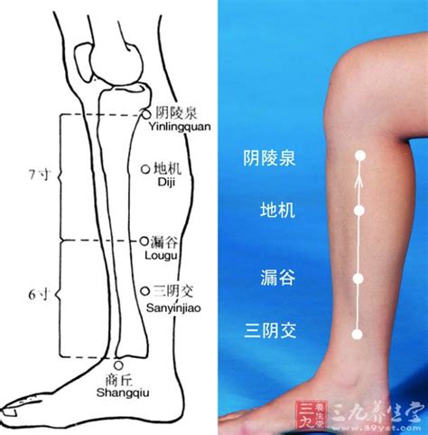 曲骨的准确位置图图片 曲骨的准确位置图图片
