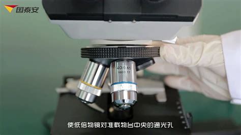 DES-20咖啡象数码水产显微镜检测鱼病等