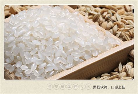 正宗东北高端绿色大米批发-黑龙江永军米业