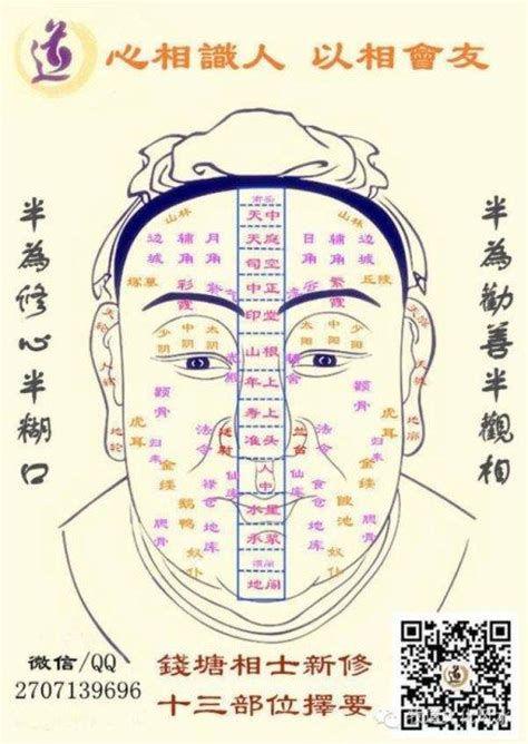 九相图图片