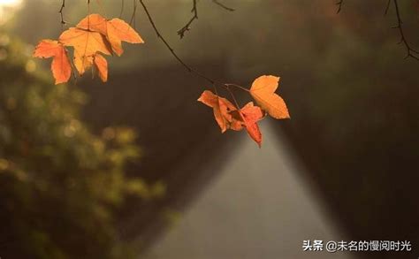 秋天的傍晚图片,优美,天空_大山谷图库