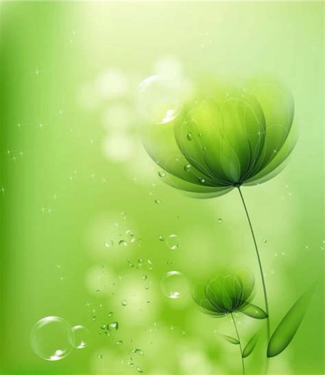 高清绿色植物壁纸保护视力墙纸桌面壁纸2
