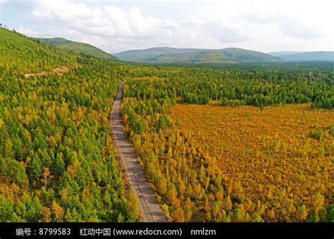 秋季林海公路风景 （航拍）高清图片下载_红动中国