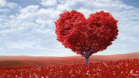 唯美 情人节树 红色爱心树 风景桌面壁纸壁纸(风景静态壁纸) - 静态壁纸下载 - 元气壁纸