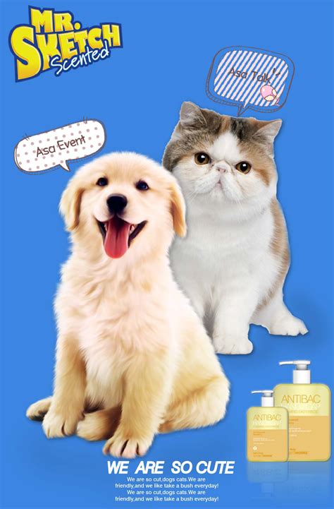 简约风宠物店促销海报设计模板素材-正版图片401580402-摄图网