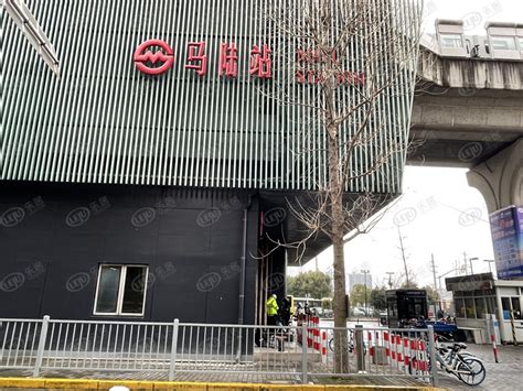 下一个网红，安藤忠雄建筑研究所设计，嘉定新地标要来了！——上海热线教育频道