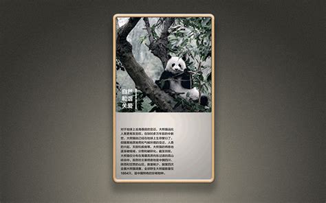 熊猫和竹子|Graphic Design|Brand|约翰走路_Original作品-站酷ZCOOL