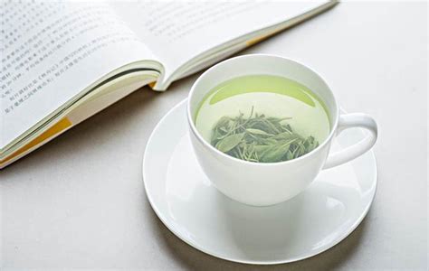 白莲花和绿茶区别 - 昵茶网