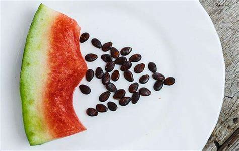西瓜籽能吃吗，西瓜子吃到肚子会发芽是真的吗 - 鲜淘网
