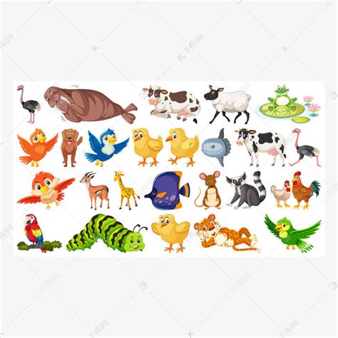 动物最完整的分类图 动物分类全图(3)_配图网